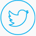 twitter icon