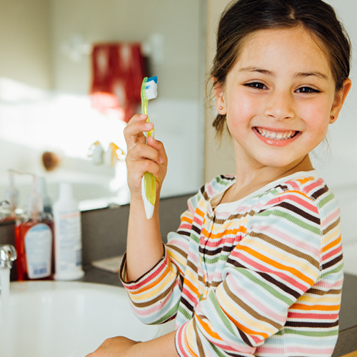 State-Wide Water Filter Support Program