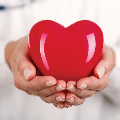 hands holding red plastic heart shape